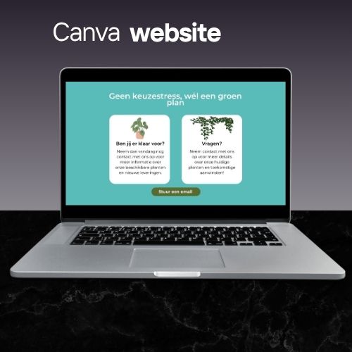 website voor starters
